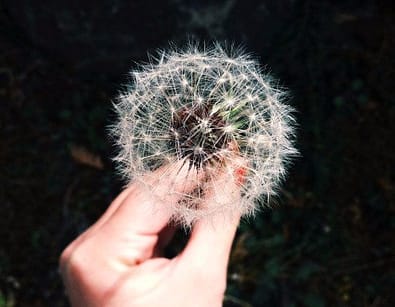 abundance